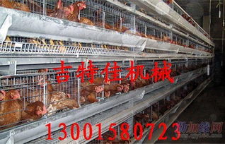 吉特佳山東雞籠廠 專注蛋雞籠與數控機床銷售的服務商